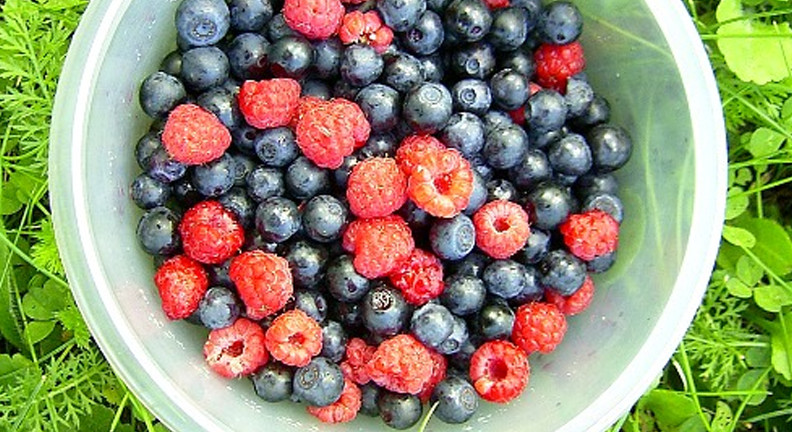 Mixed Berries With Cinnamon Sprinkles Mixed Berries With Cinnamon Sprinkles